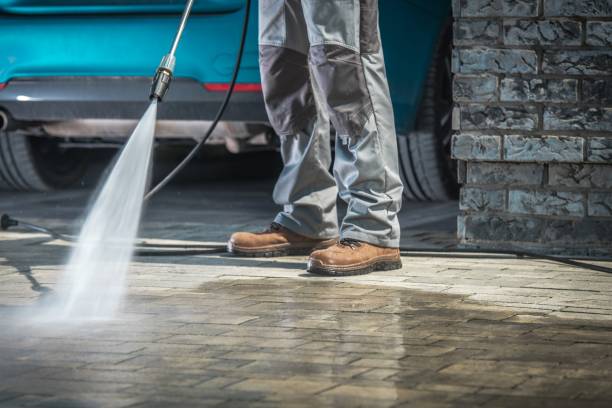 Best Dumpster Area Cleaning  in Ball Ground, GA